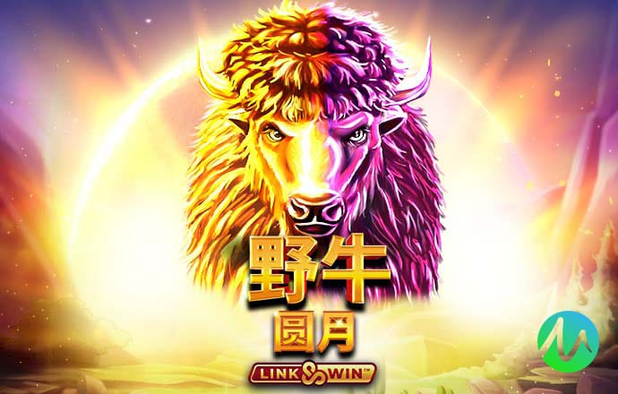 美狮贵宾会